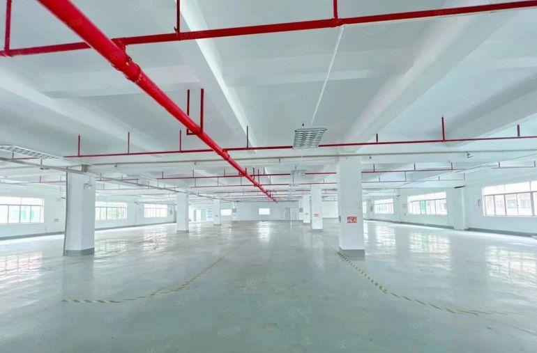 万江小享独院8800平三层标准厂房出租水电齐全带精装修院子大