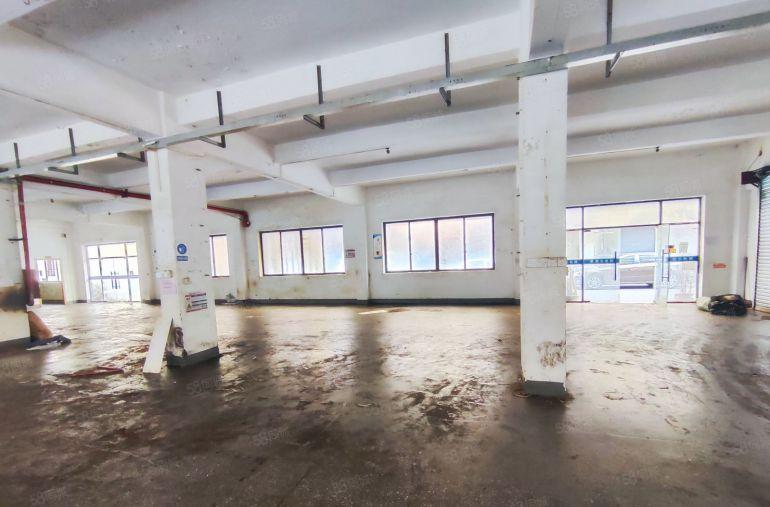 万江中心带装修实用厂房780平有办公室吊装口地坪漆2吨货梯