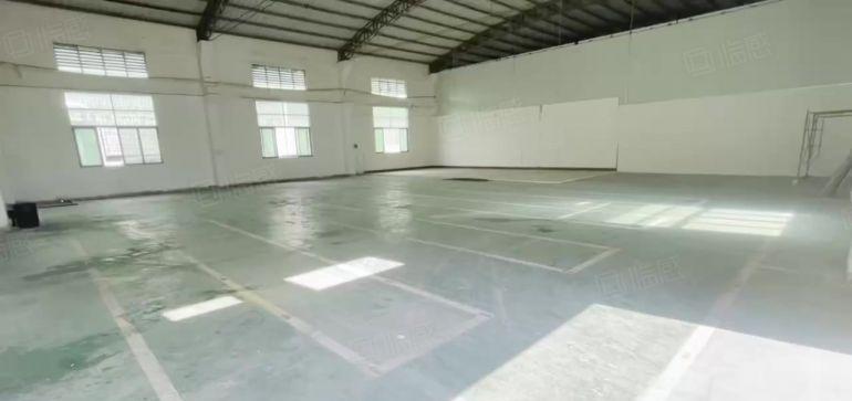 万江莫屋原房东550平方单一层厂房出租滴水8米门口开阔院子大