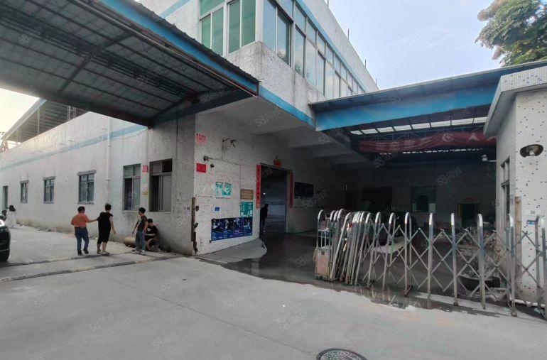 万江靠道滘1500平米一手房东独院厂房出租，价格14元平米