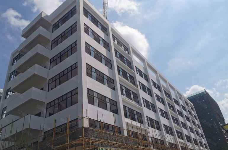 万江新村政府项目 中创汇智盈科技园 全新高标厂房1200低价