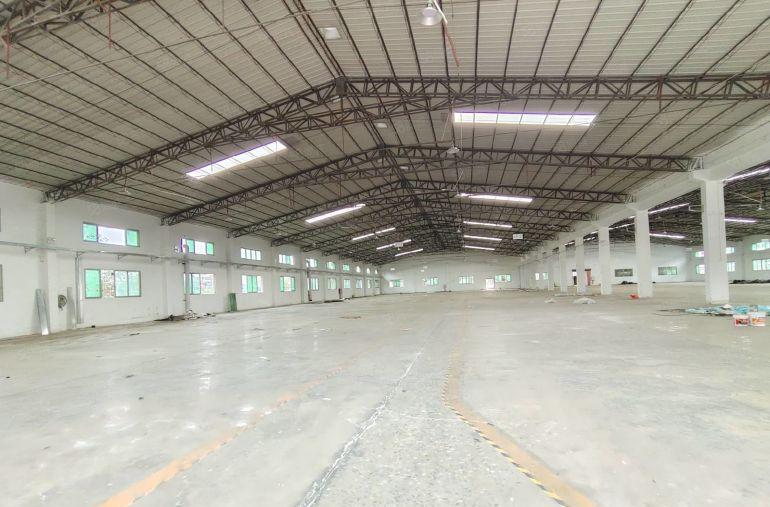 万江独院1500平单一层钢构厂房口罩机厂房低价出租滴水8米