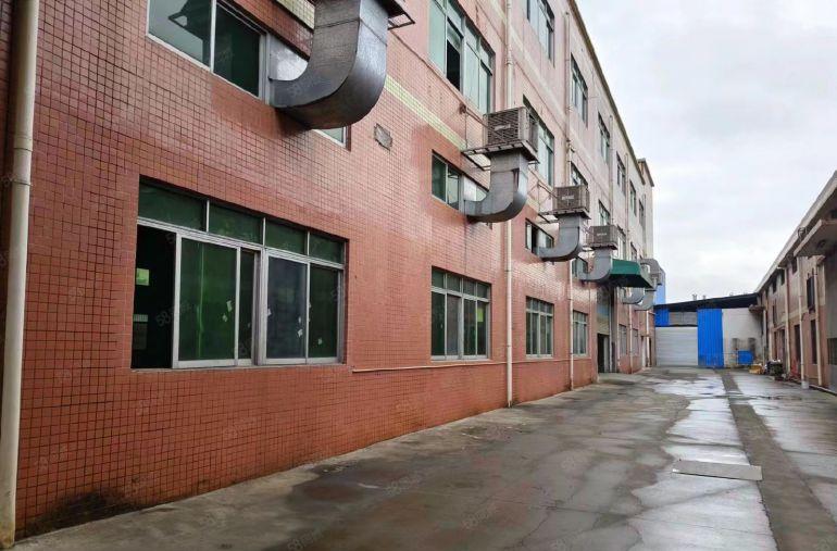 万江新出标准一楼2500平，交通便利空地大