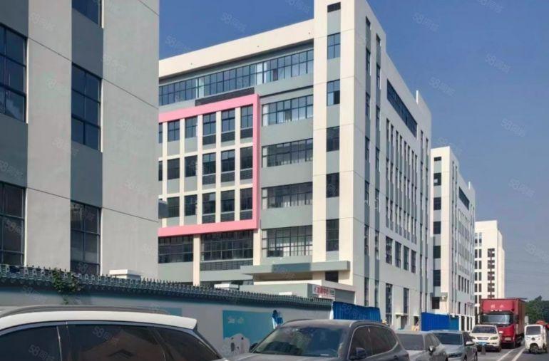 万江全新厂房9.9院出租，配套好，交通好