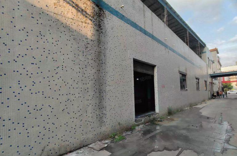 万江靠道滘1500平米一手房东独院厂房出租，价格14元平米