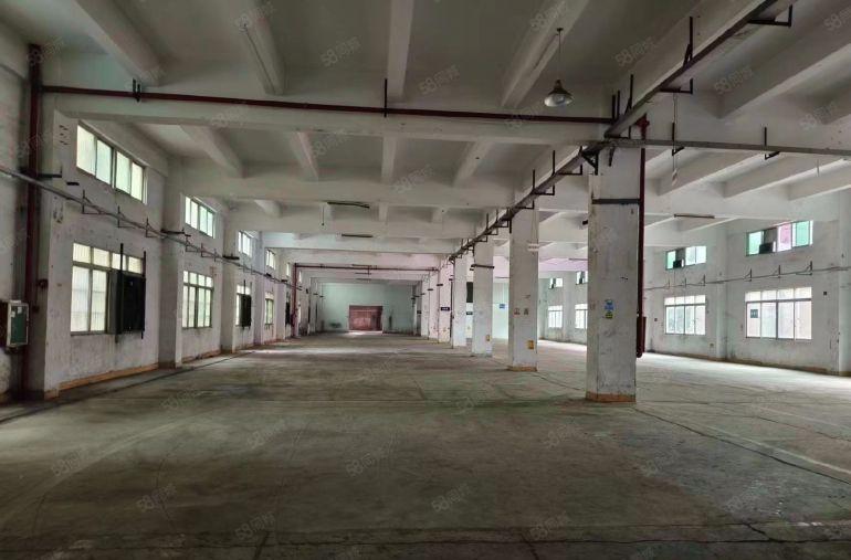 万江新出标准一楼2500平，交通便利空地大