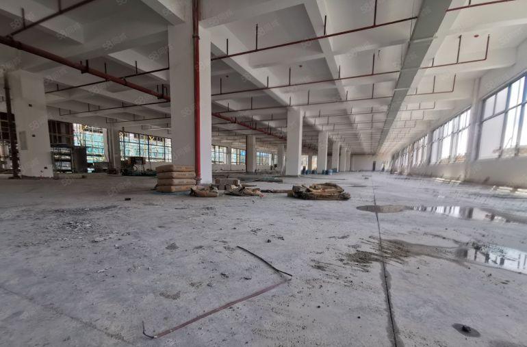 万江新村政府项目 中创汇智盈科技园 全新高标厂房1200低价