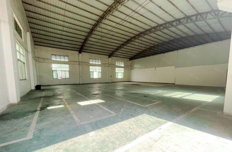 万江莫屋原房东550平方单一层厂房出租滴水8米门口开阔院子大