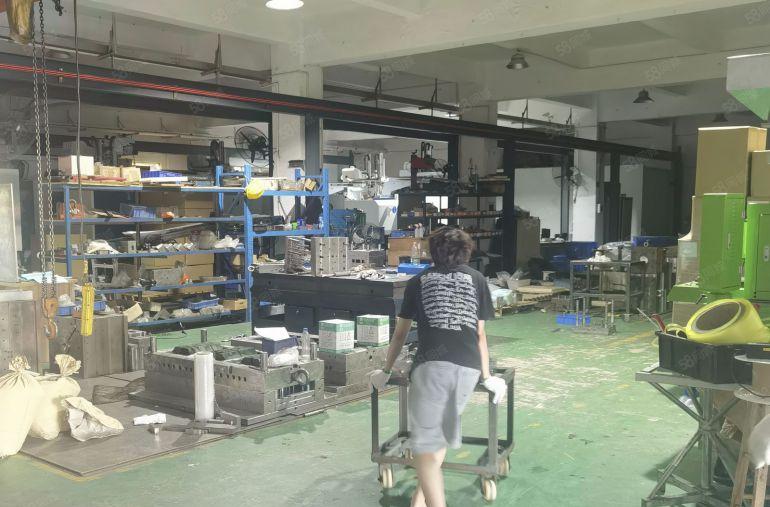 12元特价一楼原房东，樟木头原房东厂房出租1600.600平