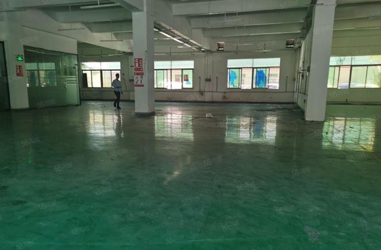 15块的一楼不要错过！樟木头独一楼1200平低价出租打包优惠