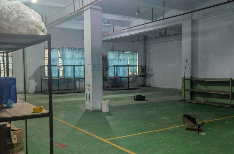 （带环评原房东）樟木头厂房出租600平方320平方实际面积出