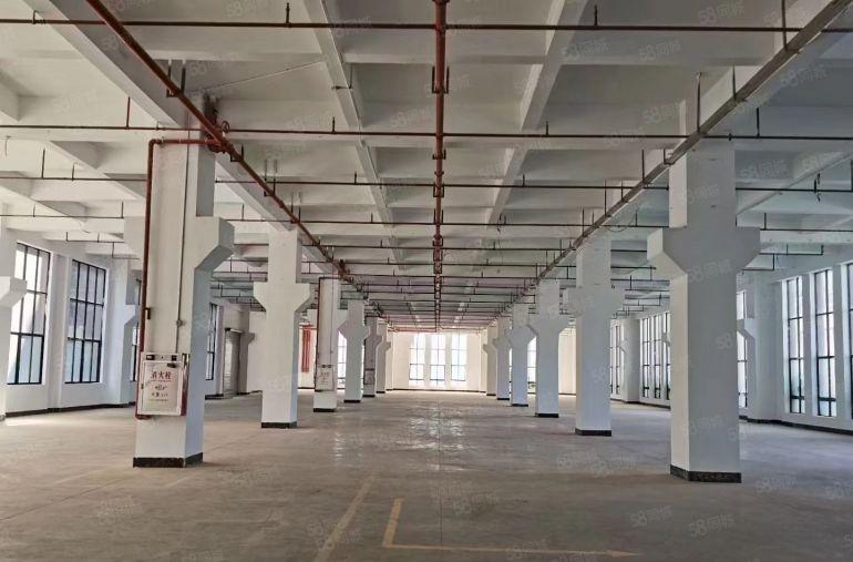 16元（原房东带环评）樟木头一楼厂房1100平，水电齐全