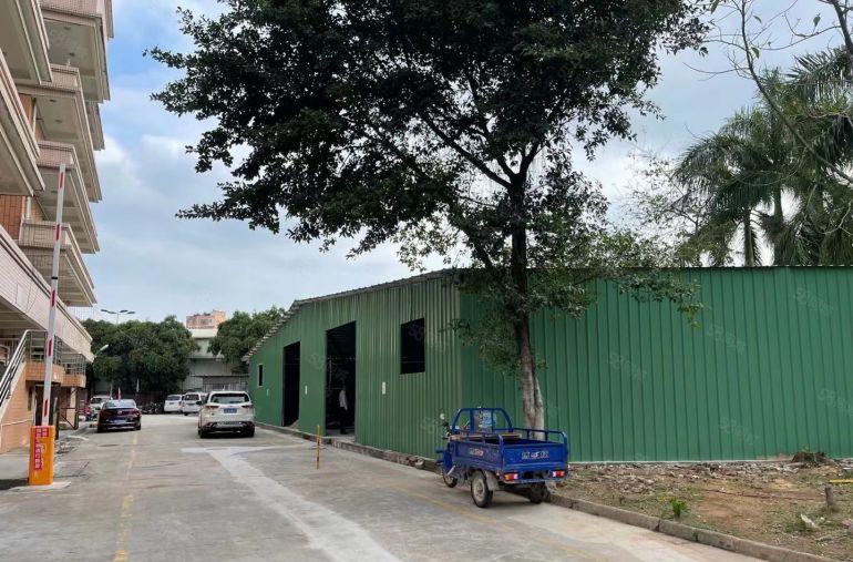 大朗靠松山湖单一层钢结构8米高590平厂房仓库出租 工业用地