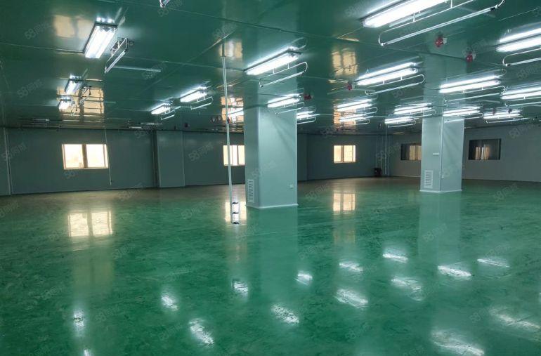 大朗现成无尘车间出租，无转让费