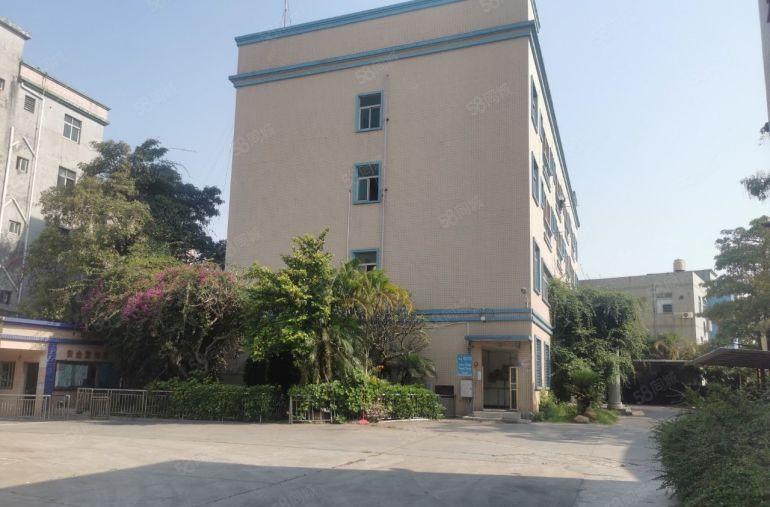 大朗新出原房东单一层独院12000平高度8米大小可分租