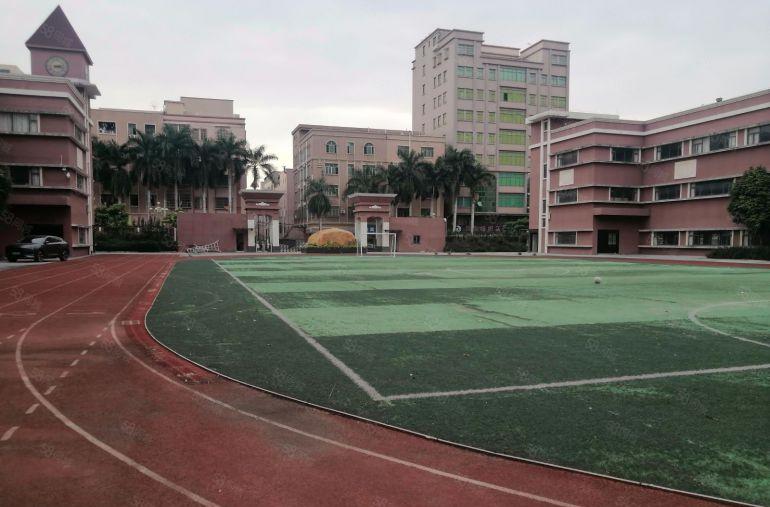 大朗靠近松山湖独院红本厂房2.5万方带精装修招租，可分租