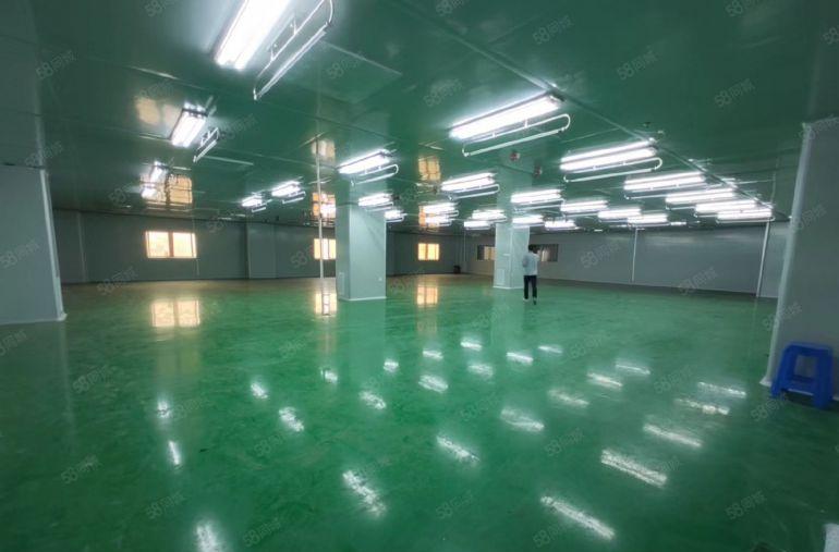 大朗现成无尘车间出租，无转让费