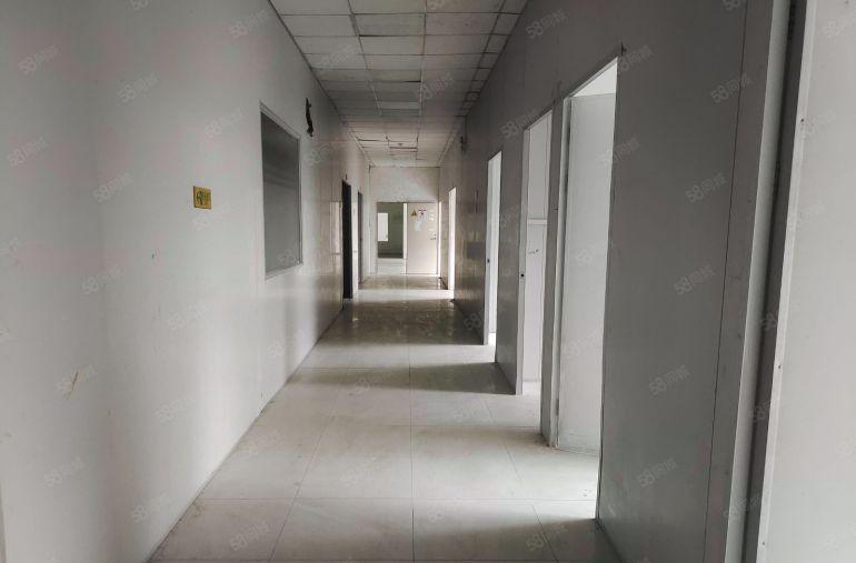 大朗松山湖旁原房东精装厂房出租 1200平 采光好 看中可谈