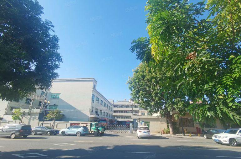 大朗新出独院带防尘车间现成办公室厂房，靠近大马路空地大