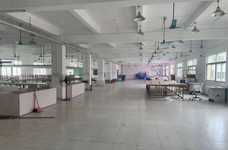 大朗毛织佳地，现成办公室，成熟工业区