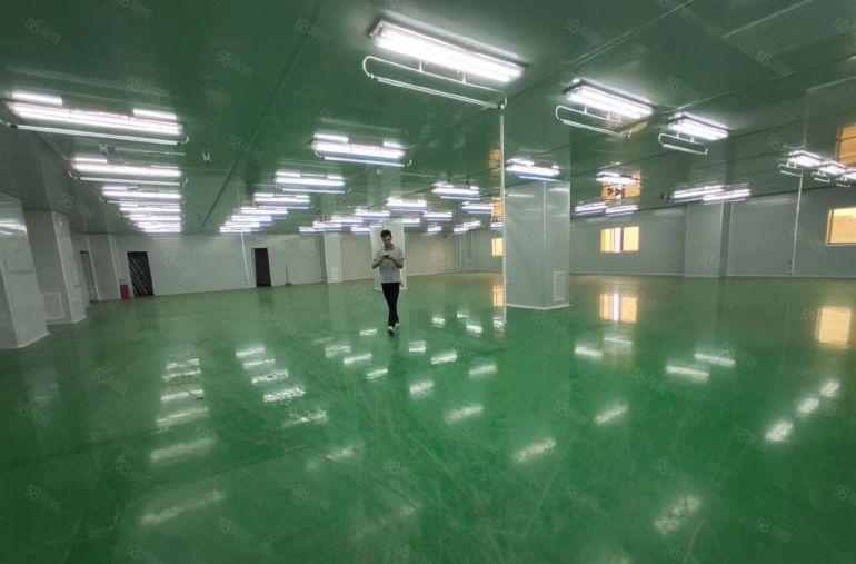 大朗现成无尘车间出租，无转让费