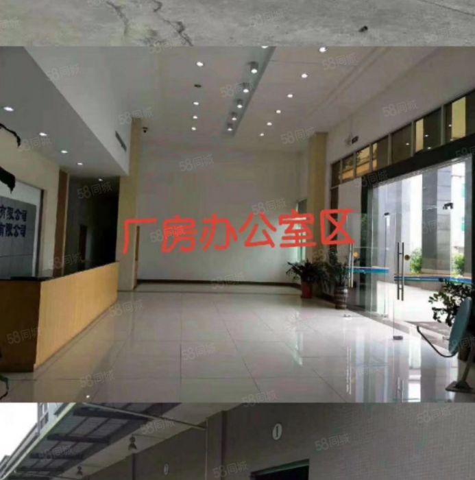 大朗镇中心新出标准独院1到2层7000平带办公室精装修