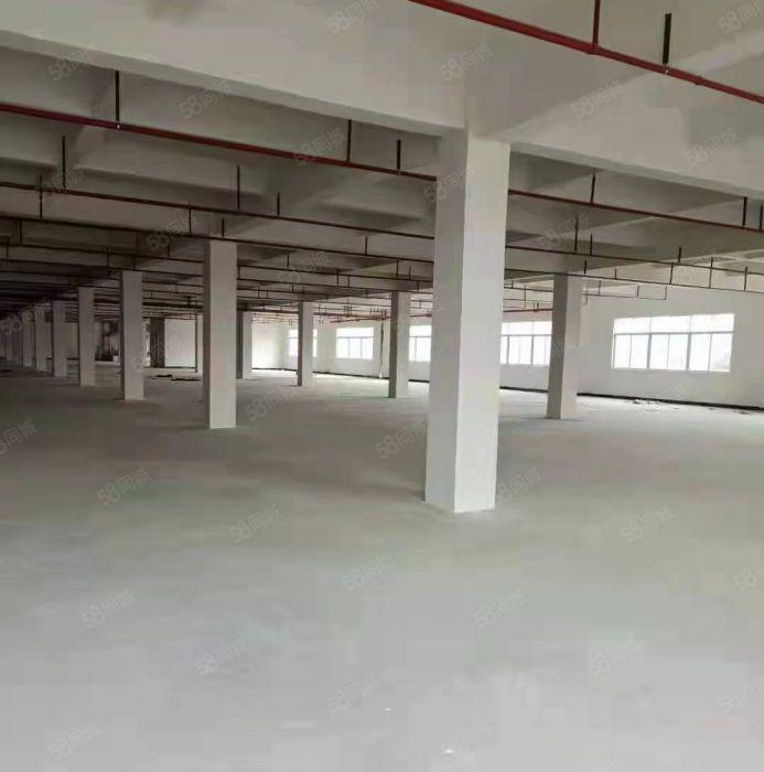 大朗新出（一手原房东）标准厂房1200平
