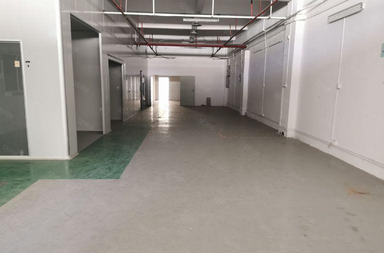 大朗新出（一手原房东）标准厂房1200平