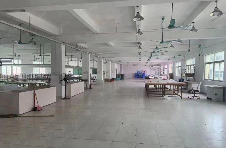 大朗毛织佳地，现成办公室，成熟工业区