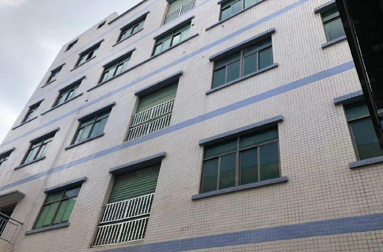 原房东低价出租独门独院工业用地有红本