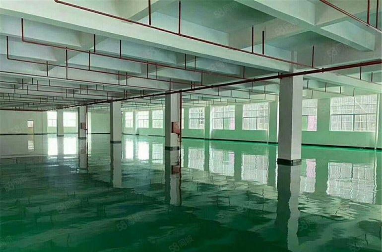 消防喷淋合格 大朗工业园二楼1200平方厂房 只要9元