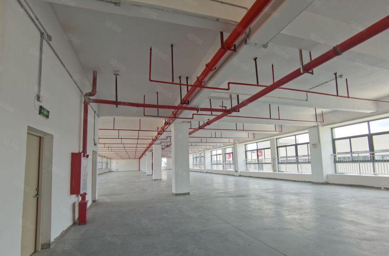 松山湖新出红本2250平重工厂房，可办环评高速出口，超低价