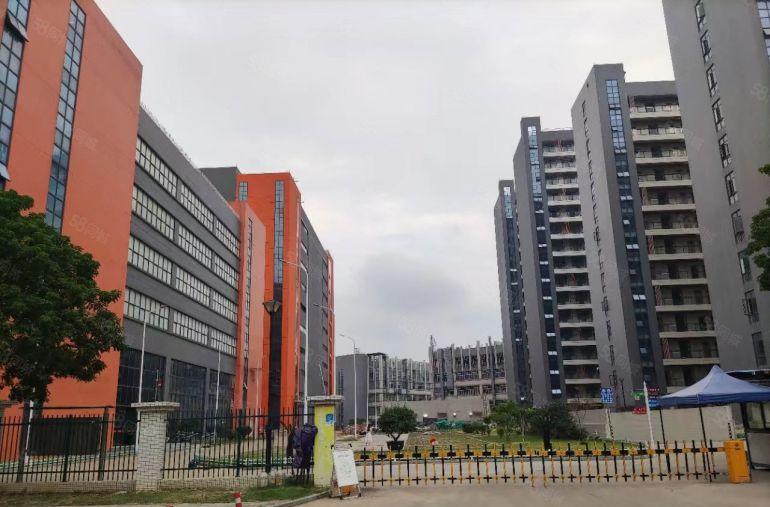 松山湖红本厂房72000平方，宿舍16000平方招商