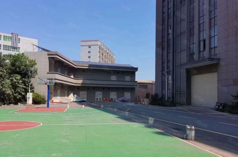 靠深圳黄江原房东红本工业园厂房出租一楼楼上各2000平方可分