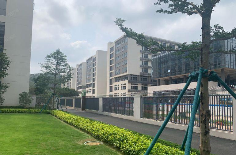 黄江镇中心莞樟路附近原房东花园式14万平方米厂房出租