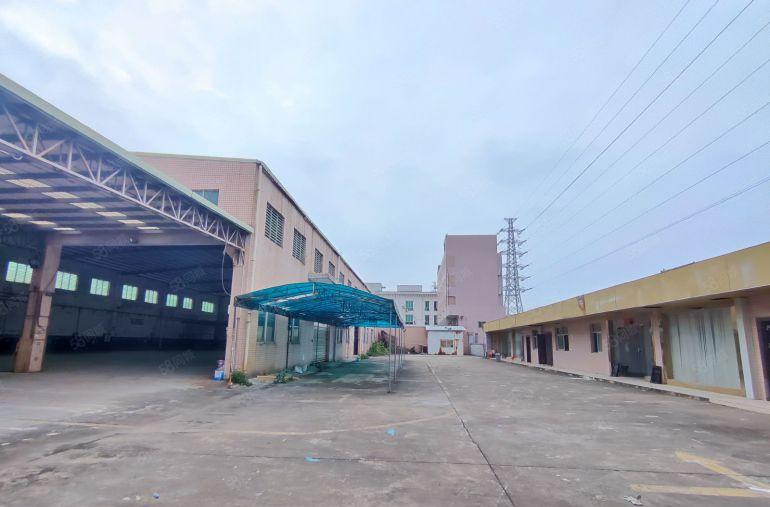 新出原房东单一层独院2500平中间没柱子带精装修办公室空地大