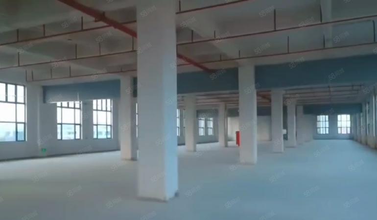 大岭山龙大高速口附近 全新厂房出租 带装修 超低价