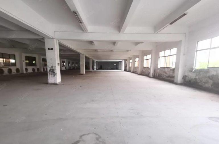 大沙村原房东独门独院低价厂房出租总面积13000平方 可分租