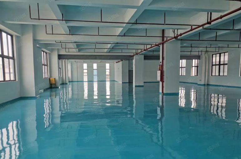 大岭山全新红本标准厂房，高度8米，1公里高速口，