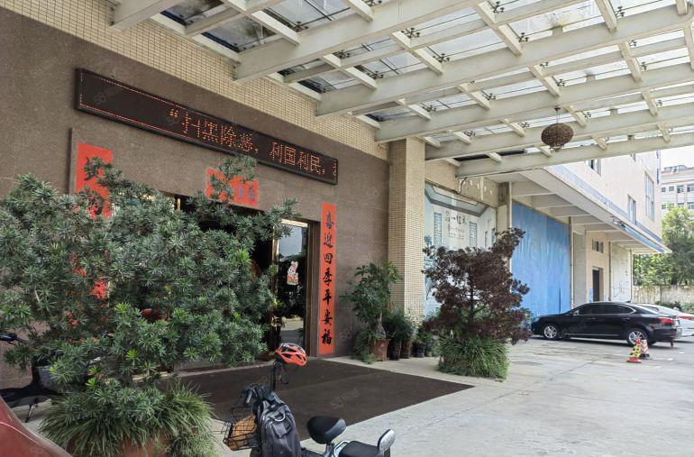 大岭山鸡翅岭独院厂房出租 一楼实量面积 可做展厅生产 精装修