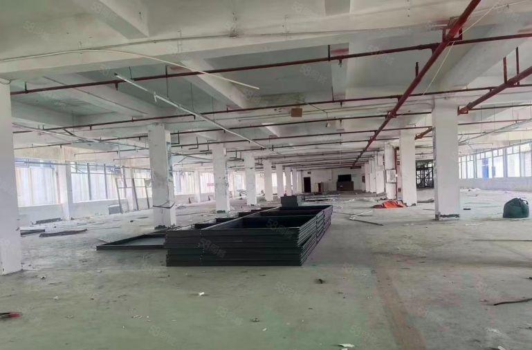 大岭山原房东经典独门独院6000平方厂房出租