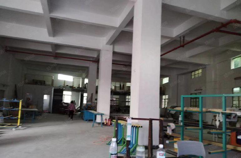 价低 大岭山原房东厂房出租一楼800平设施齐全位置好可分租