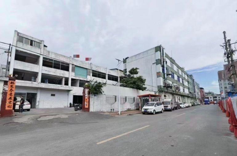 大岭山原房东经典独门独院6000平方厂房出租