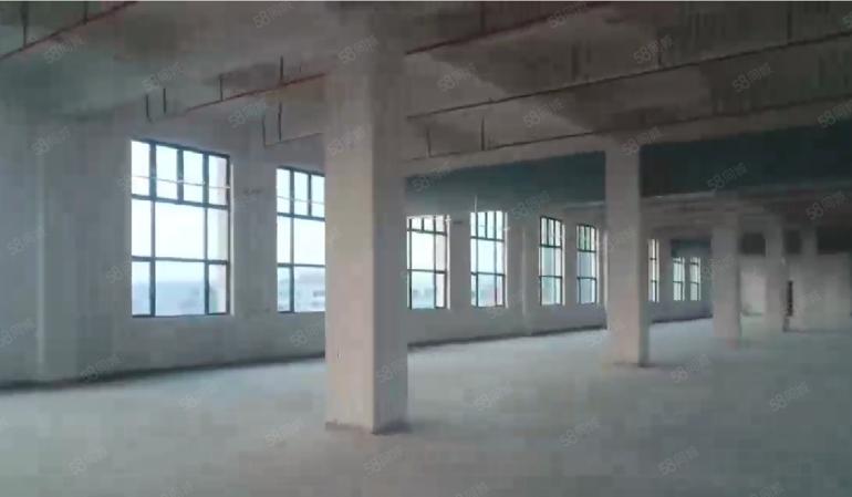 大岭山龙大高速口附近 全新厂房出租 带装修 超低价