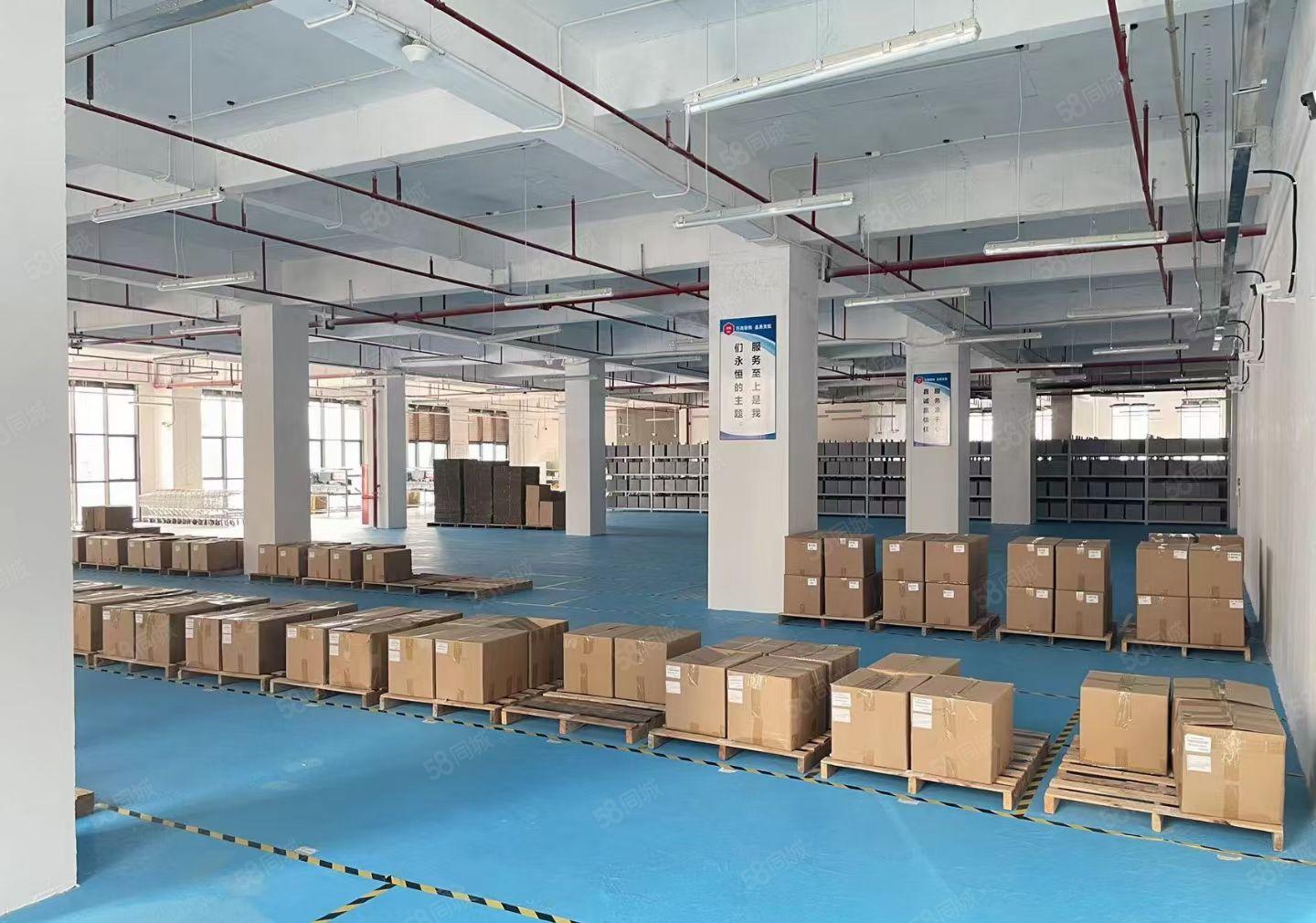 大岭山厂房出租一楼1800平现成装修办公室主线到车间19块钱