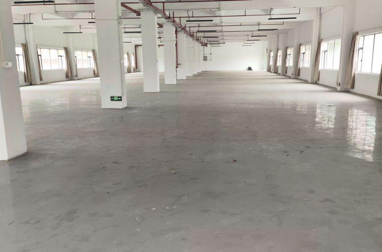 大岭山镇学院风厂房一楼，精装办公室地坪漆，超大空地特价15元