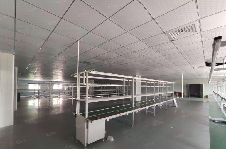 三楼2000平12块精装修 大岭山杨屋低价工业厂房出租