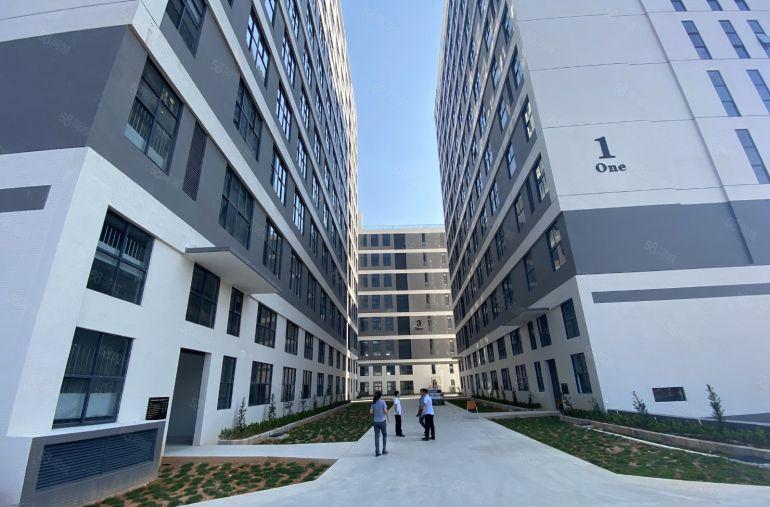 大岭山全新红本标准厂房，高度8米，1公里高速口，