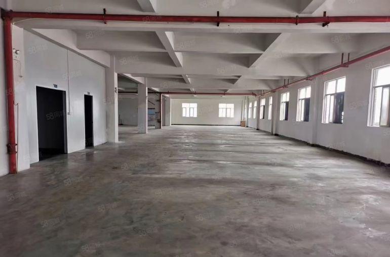 大岭山独门独院厂房12000平方，可以分租，厂房形象好空地大