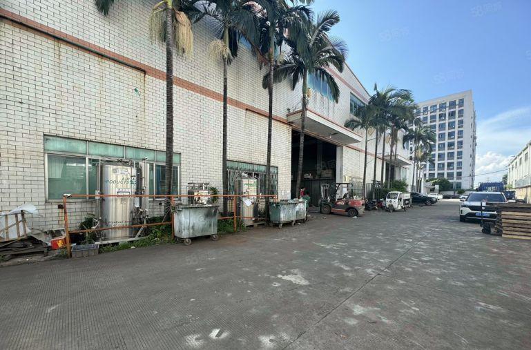 大岭山镇滴水11钢构出租，形象好空地大可进拖车，工业用地